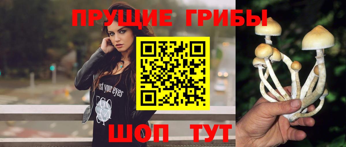 Галлюциногенные грибы GOLDEN TEACHER Большой Камень
