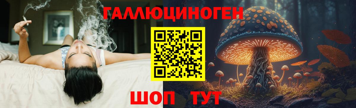 Псилоцибиновые грибы Psilocybe  Вход с VPN  Псилоцибиновые грибы мицелий  Большой Камень 